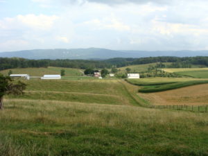 Eastern view of Berry-Moore Farm